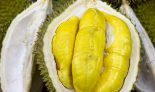 女人吃榴莲发胖吗 女人吃榴莲会咋样