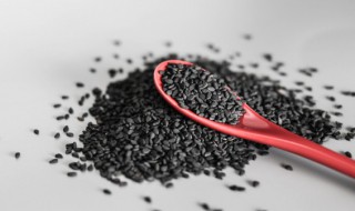 黑芝麻可以直接煮粥吗 黑芝麻能不能直接煮粥呢