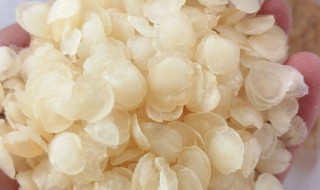 皂角米到底有没有毒 皂角米有毒吗