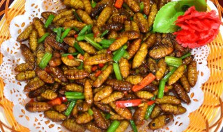 蜂蛹和什么不能一起吃 不适合和蜂蛹同吃的食物