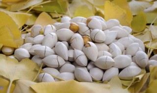 白果去芯技巧 白果芯能吃吗