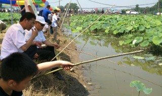 钓虾用什么饵料 鱼钩怎么选