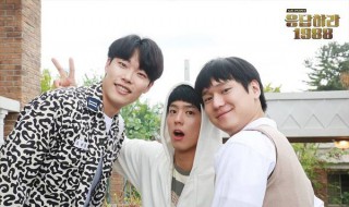 1988大结局 具体内容如下