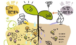 复合肥成分 种类