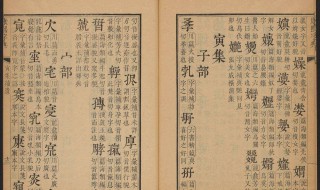 娑婆是什么意思 答案看下方