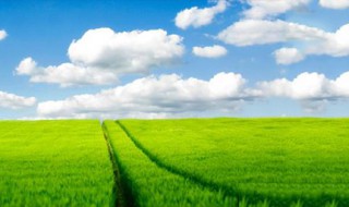 赞美大自然的句子简短 看起来很唯美