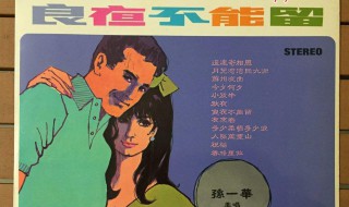 良夜不能留歌词 良夜不能留歌词是什么