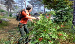 明日之后浆果种子用处 获得方式及作用介绍