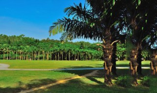 莲花山公园在哪 莲花山公园建于哪年