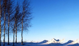 美丽雪景句子 你有见过雪吗