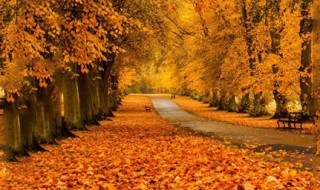 秋天的经典语句 这三句你肯定知道