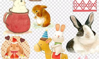 小白兔的耳朵像什么 耳朵作用有哪些