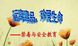 禁毒治本工作是什么 按什么规定