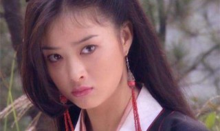 木婉清最后结局 被段誉收了吗