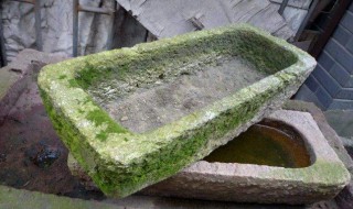 石缸养鱼怎么去青苔 如何快速清除鱼缸里的青苔