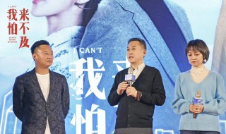 姨夫电视剧多少集 电视剧我怕来不及的简介