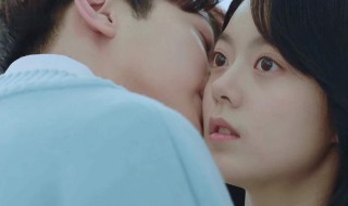 梁又年夏淼淼结局 梁又年向夏淼淼表白说什么