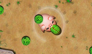 西瓜小游戏入口在哪 一起来玩游戏吧