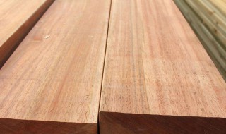 桉木是什么木 桉木简介