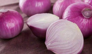 洋葱育苗时间 应该怎么播种呢