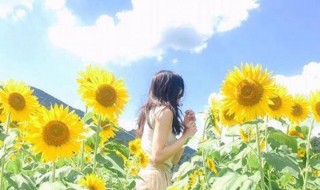 优雅大气有内涵的句子 10句优雅大气句子