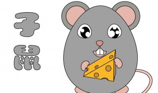 首尾相救是什么生肖 代表什么动物