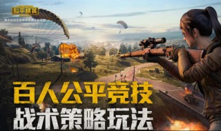 怎么获得和平精英皮肤 只需要五个步骤