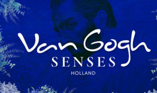 vangogh插件加载成功怎么回事 来瞧瞧