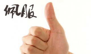 佩服的近义词 佩服的词语解释