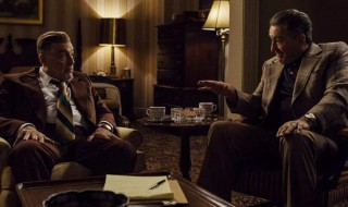 爱尔兰人国内上映时间 爱尔兰人剧情简介