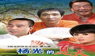 杨光的夏天大结局 剧情又是怎样的