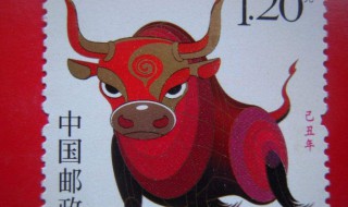 2009年属什么生肖 2009年的生肖