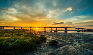 几度夕阳红是什么意思 几度夕阳红的意思