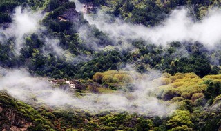 白云生处有人家的生是什么意思 白云生处有人家的解释