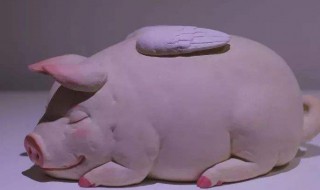 男人梦见猪是什么预兆 当中的意思你知道吗