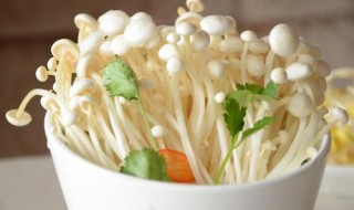 金针菇的禁忌 不能与驴肉同吃