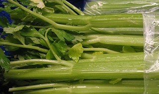 芹菜叶子为什么不能吃 这里有答案