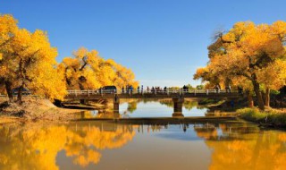 赞美十月金秋的句子 5句金秋十月的唯美句子