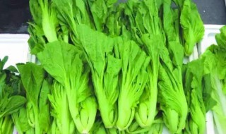 十斤芥菜几斤盐 腌十斤芥菜的方法