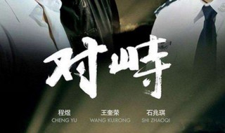 对峙电视剧大结局 结局是什么