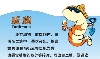 野生大蚯蚓能养殖吗 野生蚯蚓多久长大