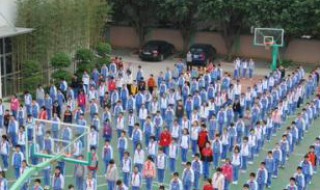 龙岗最好的小学排名 学校得从小学抓起