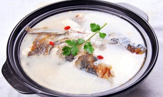 清炖鱼的配方 清炖鱼的方法