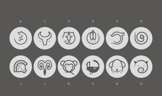 12生肖智商排名 十二生肖智商高低排行榜