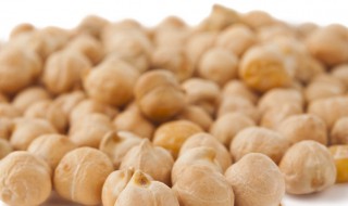 长寿豆是什么 长寿豆是什么豆子品种