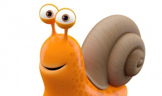 蜗牛养殖如何出售 来看看怎么说