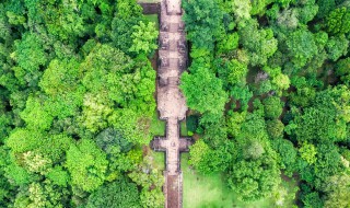 葱葱茏茏的意思 葱葱茏茏是什么意思