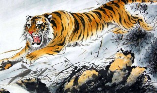 为什么说梦虎旺三年 是真的吗