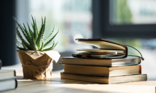 歧路亡羊的寓意 现在你们知道了吗