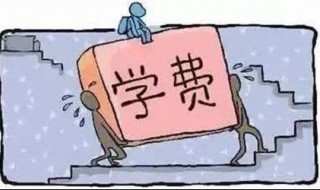 高中学费2020标准 2020年高中学费会降低吗